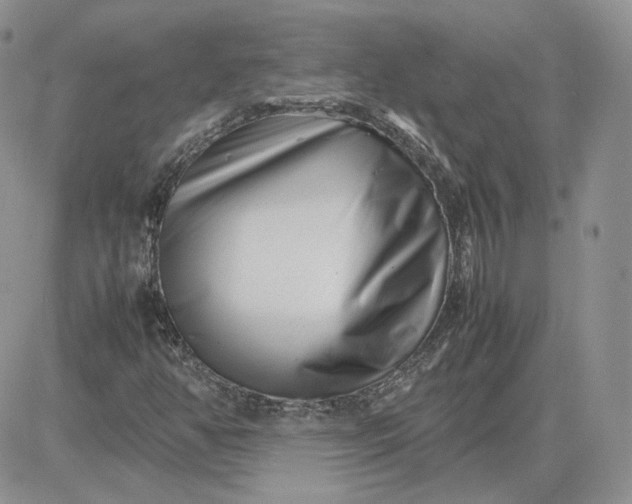 X0000081451350200701261902