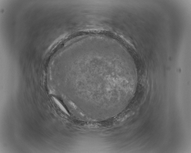 X0000081451351200701261902