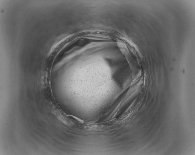 X0000081451352200701261902