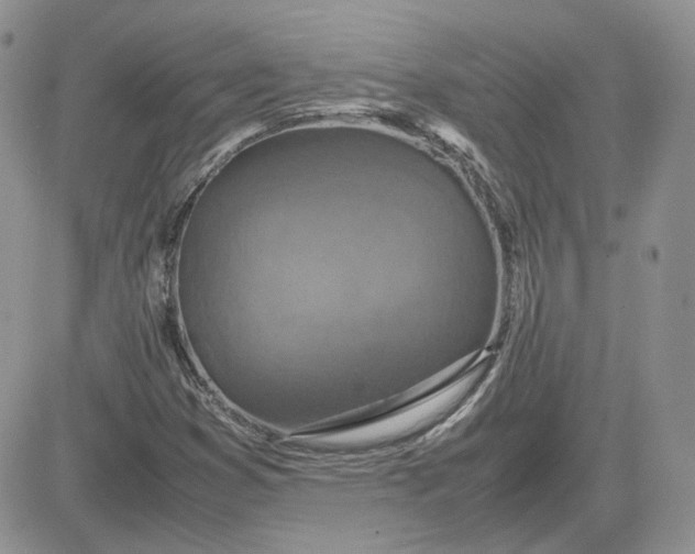 X0000081451353200701261902