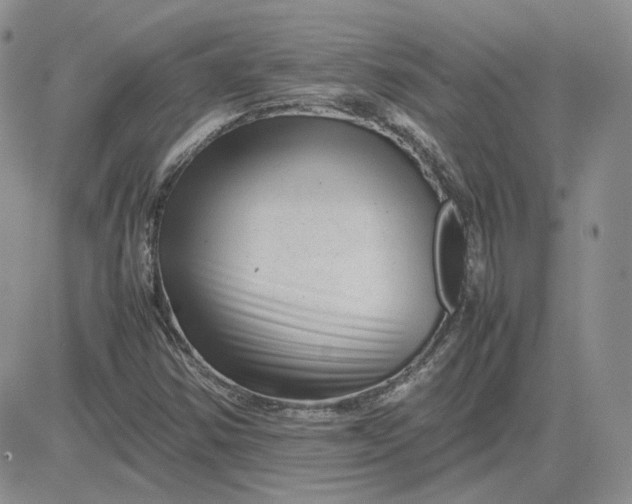 X0000081451354200701261902