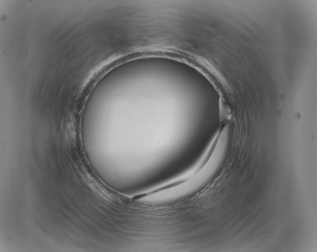 X0000081451356200701261902