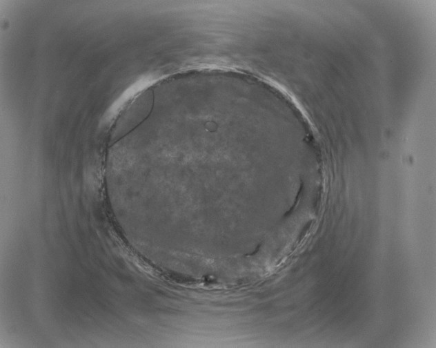 X0000081451359200701261902