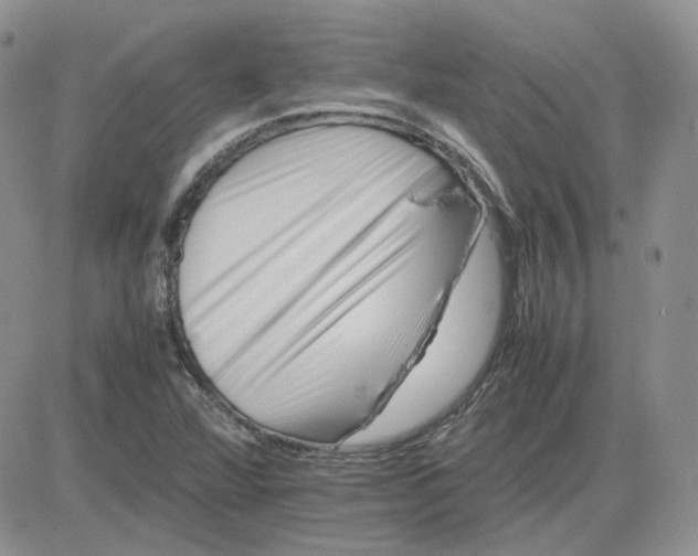 X0000081451360200701261902