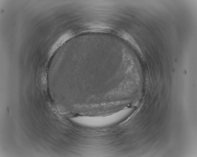 X0000081451362200701261902