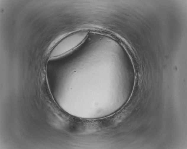 X0000081451363200701261902