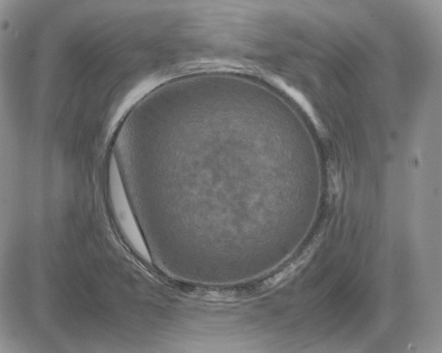 X0000081451365200701261902