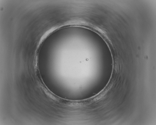 X0000081451366200701261902