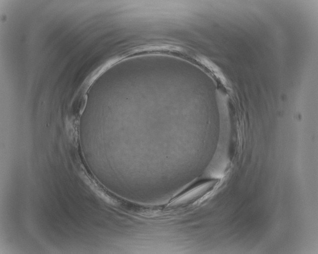 X0000081451369200701261902