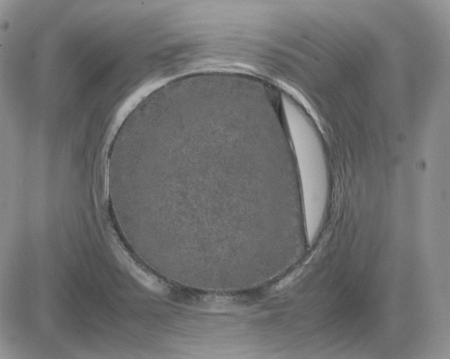 X0000081451371200701261902