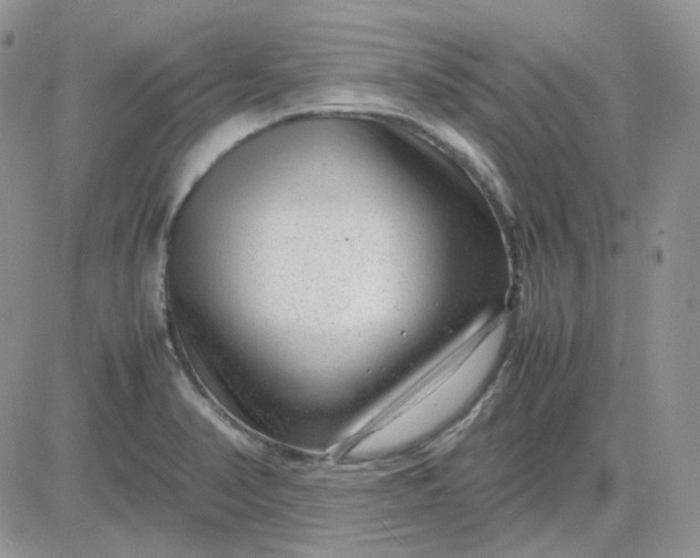 X0000081451374200701261902