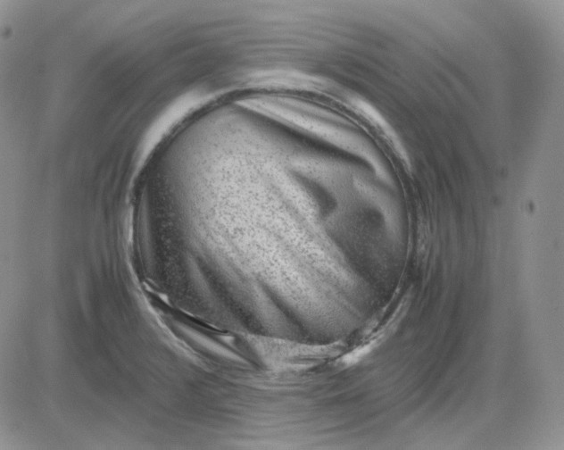 X0000081451376200701261902