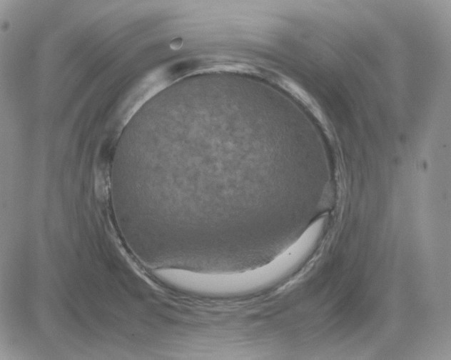 X0000081451377200701261902