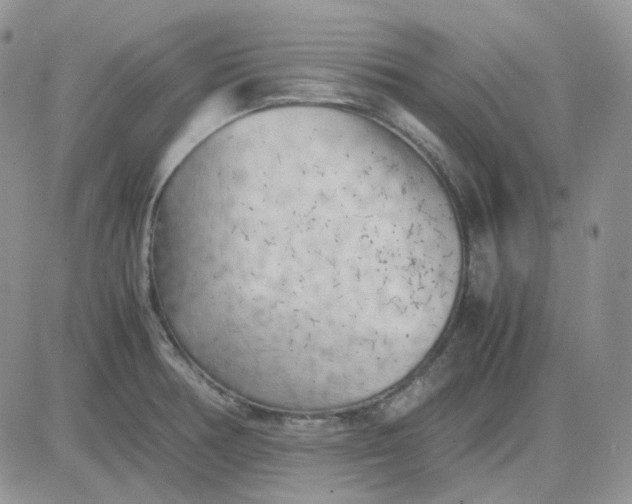 X0000081451378200701261902