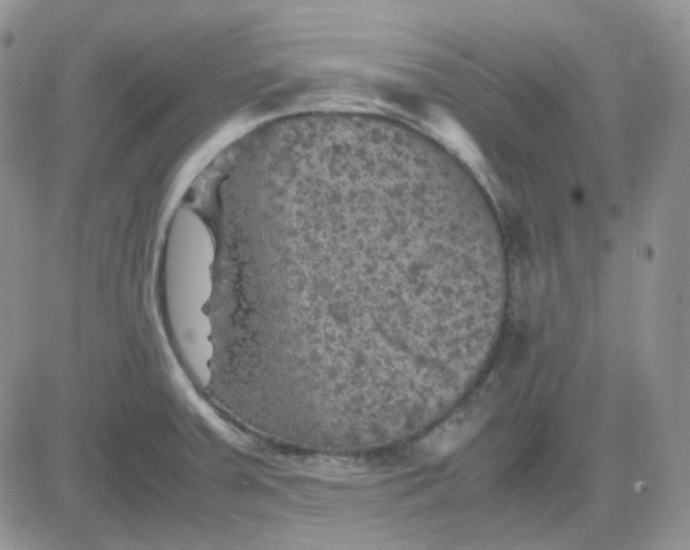 X0000081451379200701261902