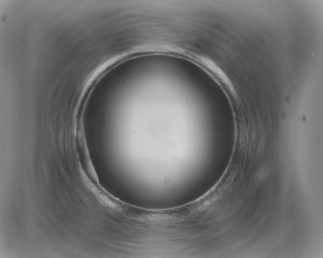 X0000081451380200701261902