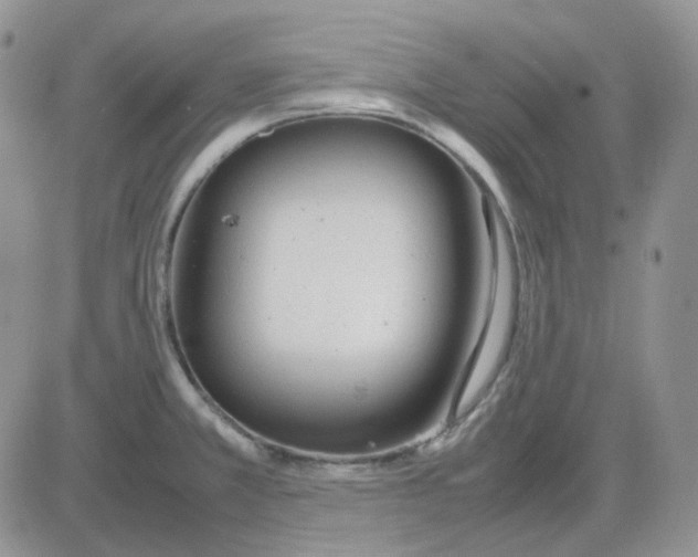 X0000081451381200701261902