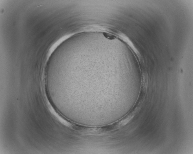 X0000081451387200701261902