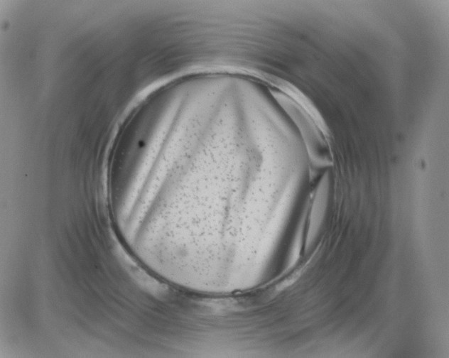 X0000081451388200701261902