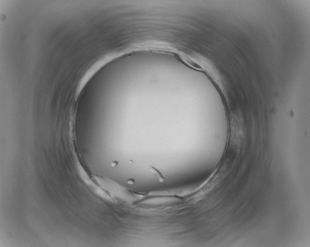 X0000081451390200701261902