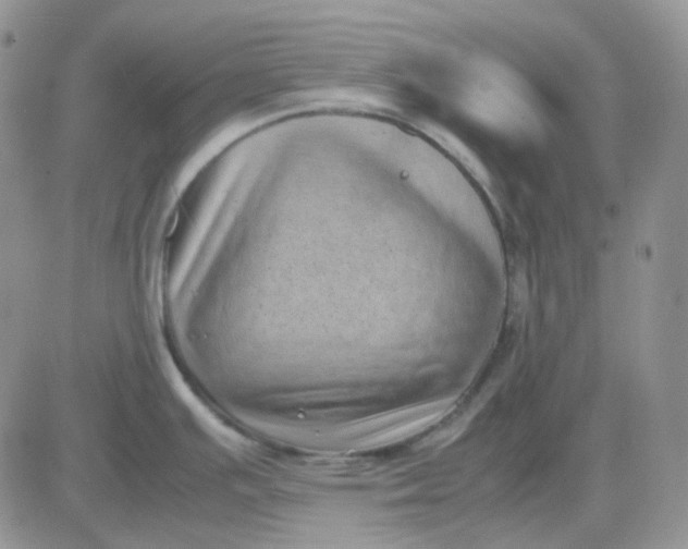 X0000081451391200701261902