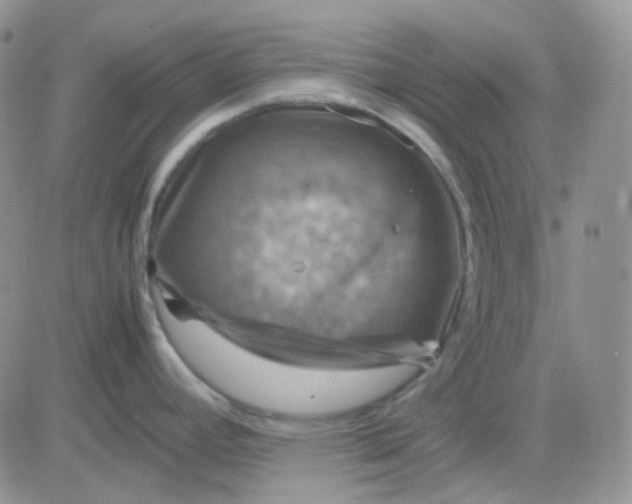 X0000081451392200701261902