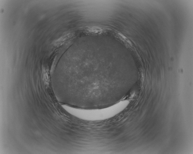 X0000081451394200701261901