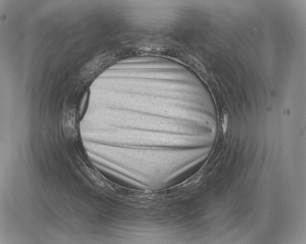 X0000081451396200701261901