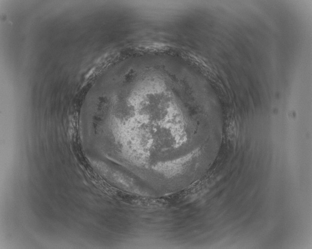 X0000081451397200701261901