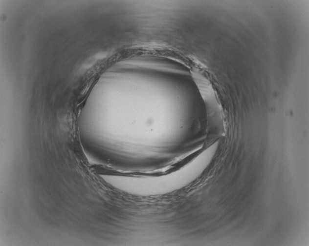 X0000081451398200701261901