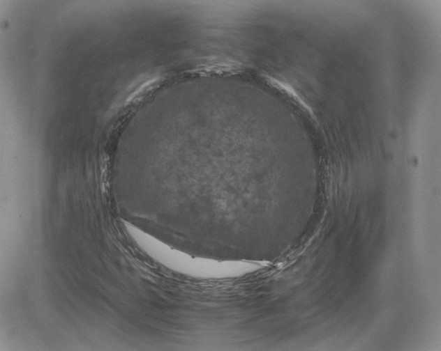 X0000081451399200701261901