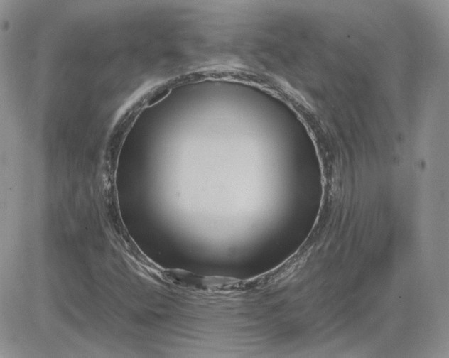 X0000081451400200701261901