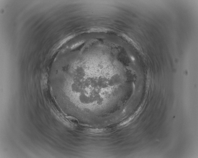 X0000081451401200701261901