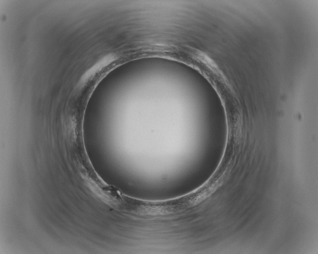 X0000081451402200701261901