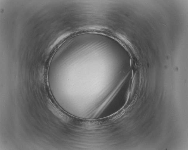 X0000081451404200701261901