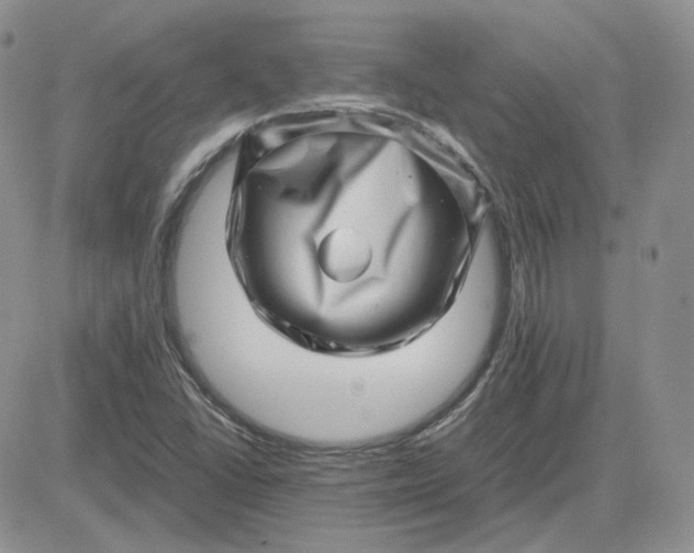 X0000081451406200701261901