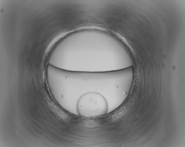 X0000081451408200701261901