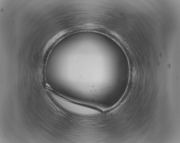 X0000081451410200701261901