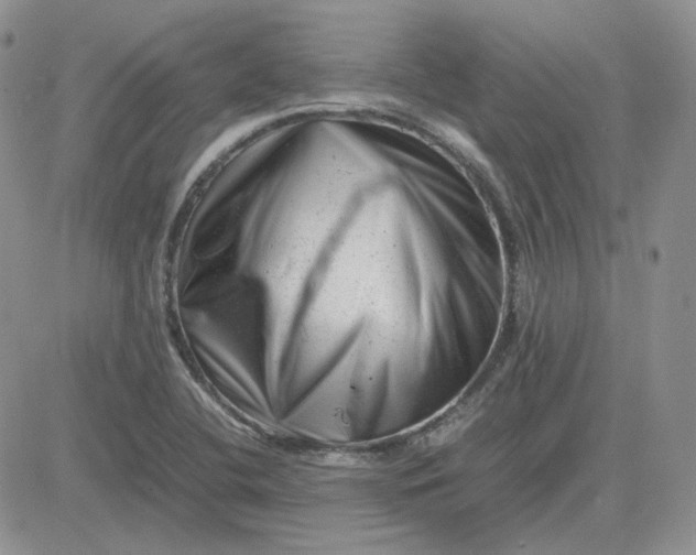 X0000081451412200701261901