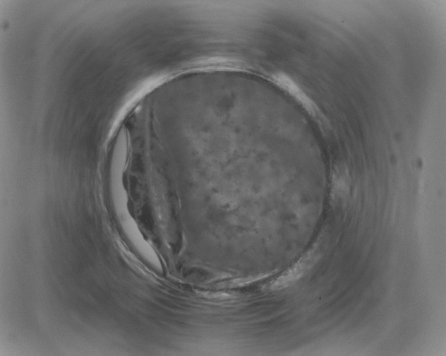 X0000081451413200701261901