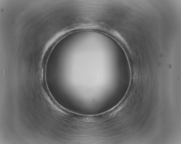 X0000081451414200701261901