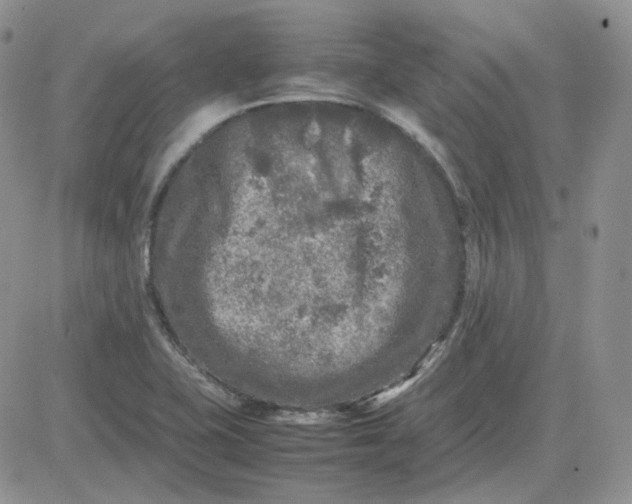 X0000081451415200701261901