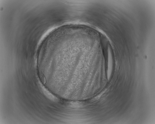 X0000081451416200701261901