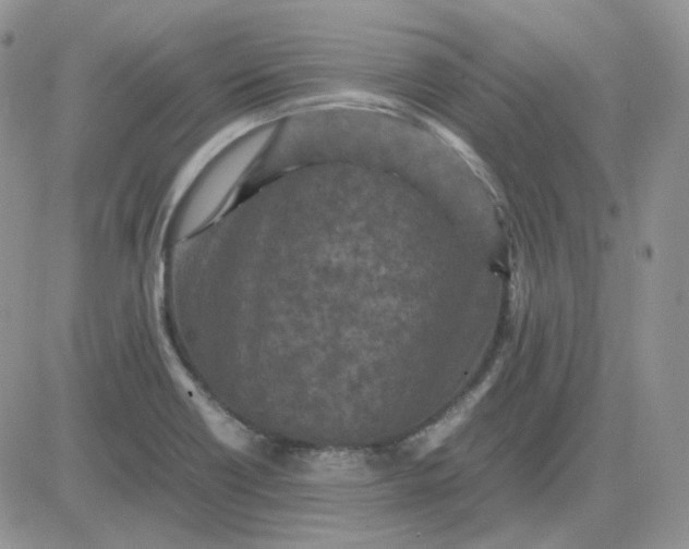 X0000081451418200701261901