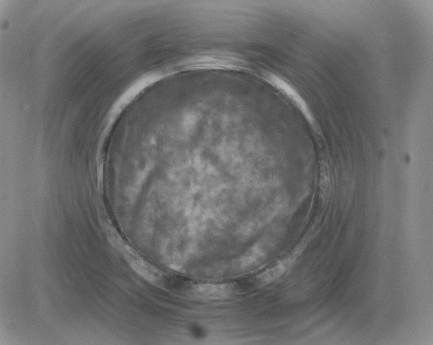 X0000081451419200701261901