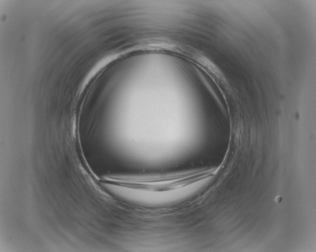 X0000081451420200701261901