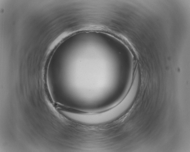 X0000081451422200701261901