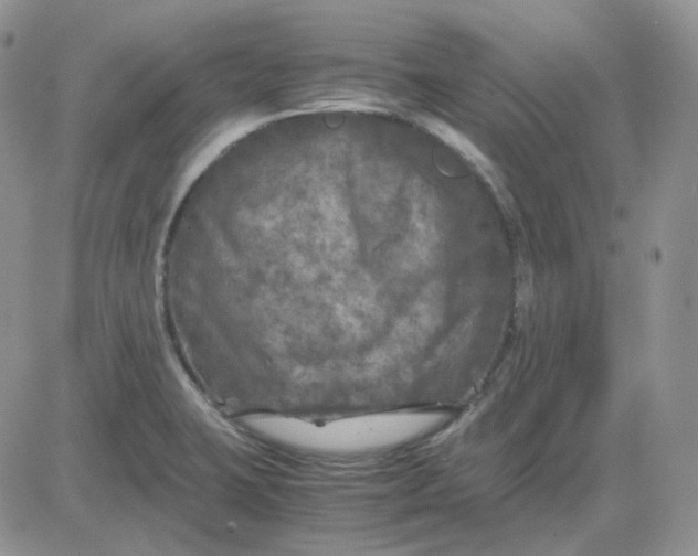 X0000081451423200701261901