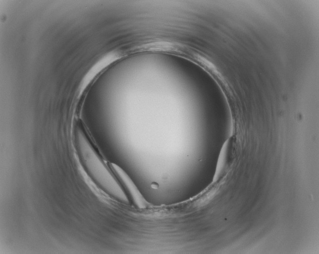 X0000081451426200701261901