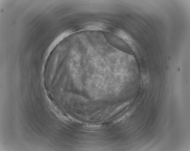 X0000081451427200701261901